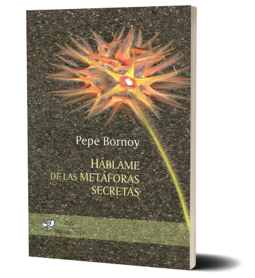 Bornoy, Artista Digital