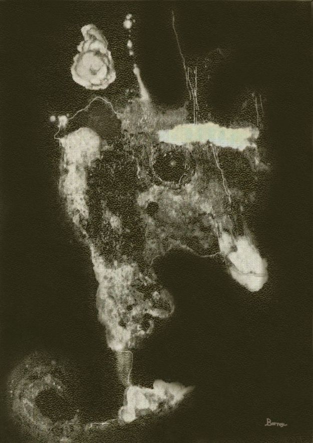 Bornoy, Artista Digital