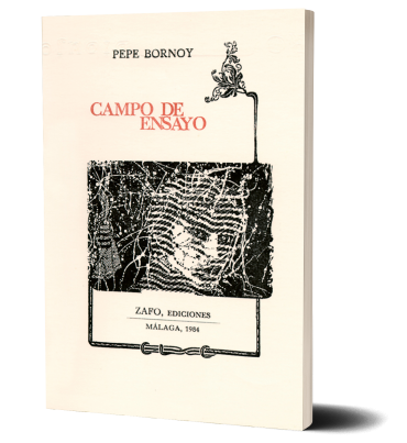 Bornoy, Artista Digital