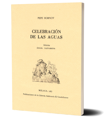 Bornoy, Artista Digital