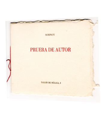 Bornoy, Artista Digital