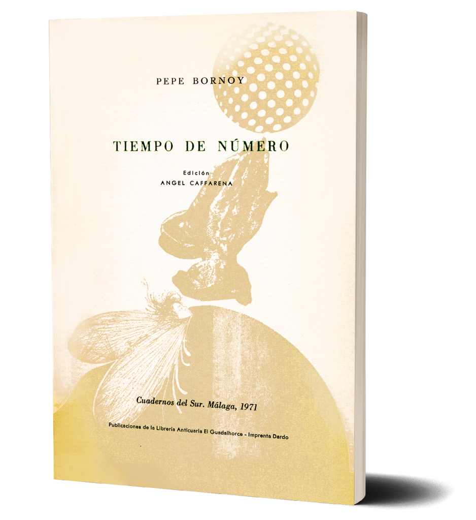 Bornoy, Artista Digital