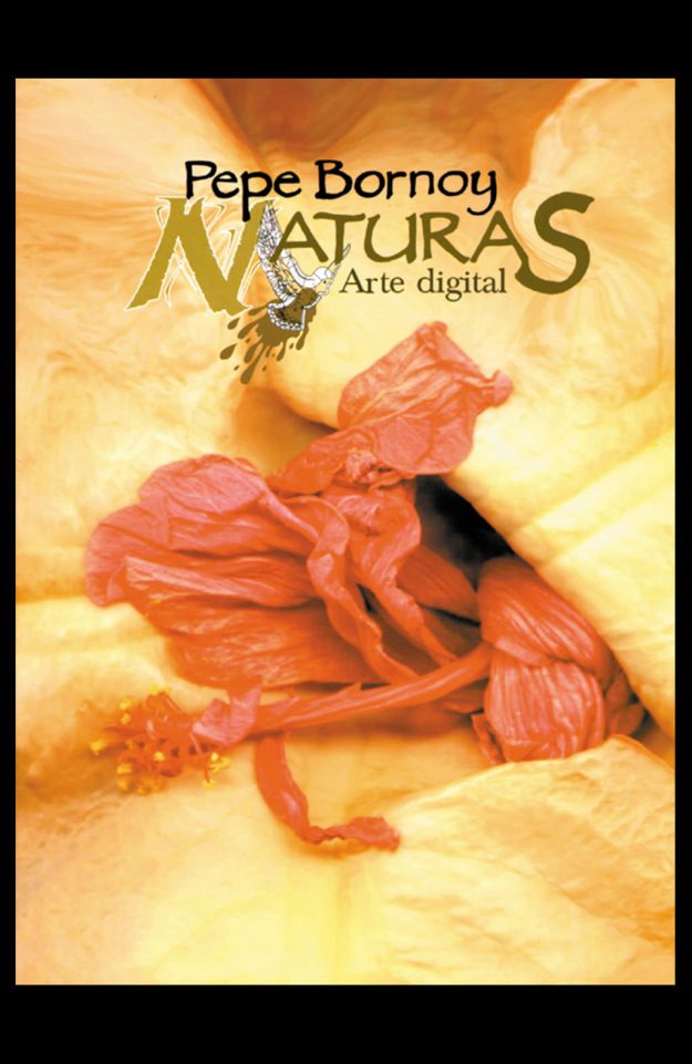 Bornoy, Artista Digital