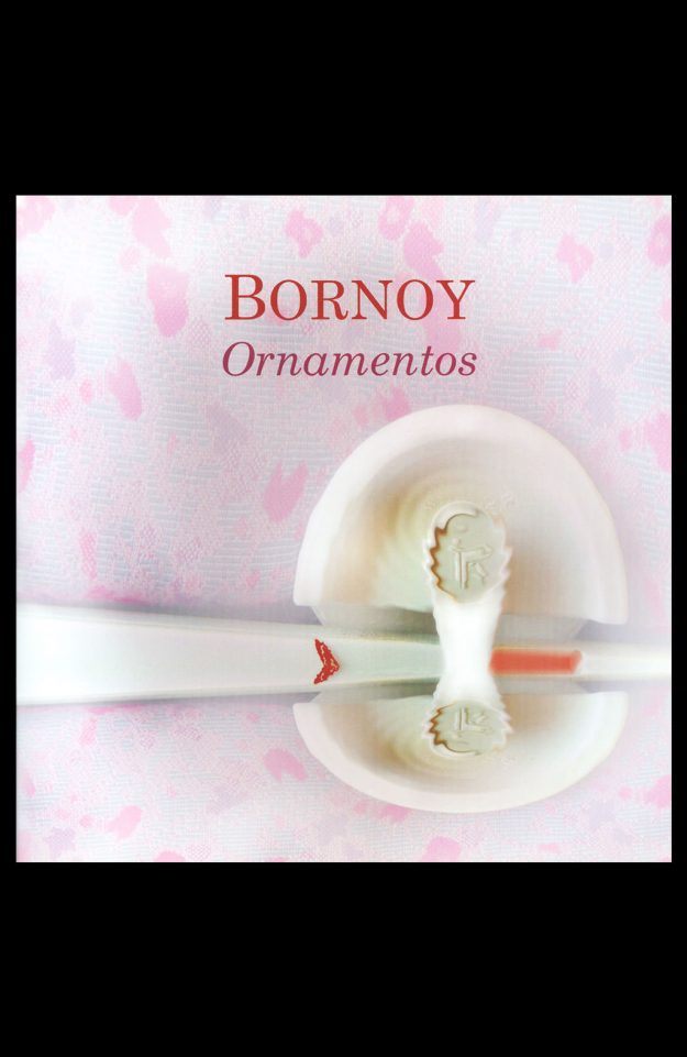 Bornoy, Artista Digital